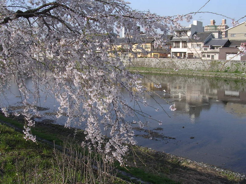 DSCN1256-1.jpg