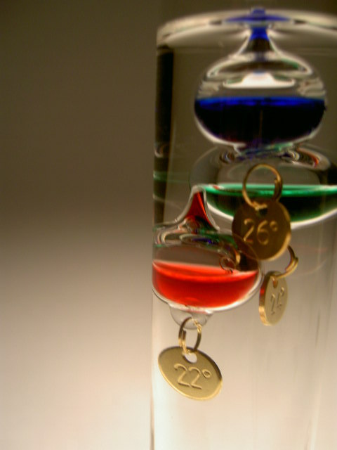 PICT2524.JPG