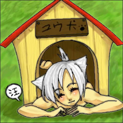 355.jpg
