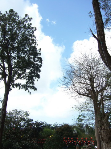 DSCF2124.jpg