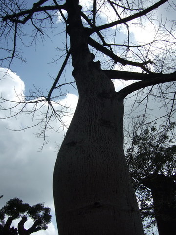 DSCF2146.jpg