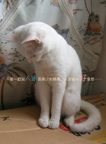 b妈妈05.jpg