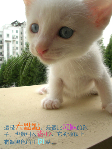 �j点1.jpg