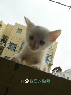�j点4.jpg