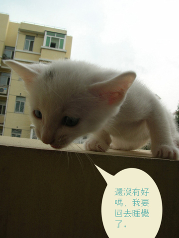 �j点6.jpg