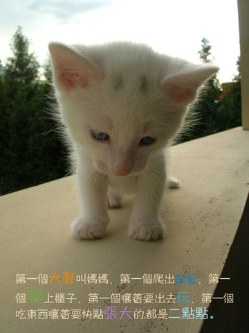 �G点2.jpg