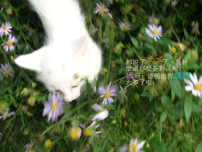 �G点6.jpg