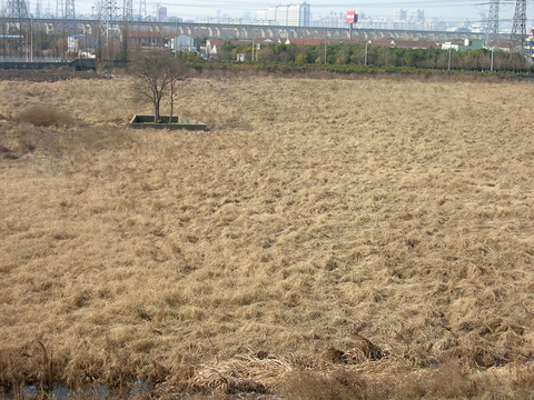 DSCN0239.jpg