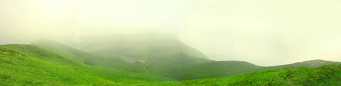 DSCN5341.jpg