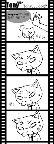 tony dog.jpg