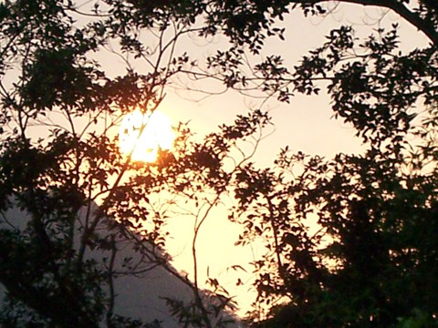 100_3246.JPG