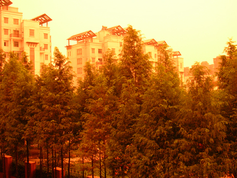 DSCN5581.jpg