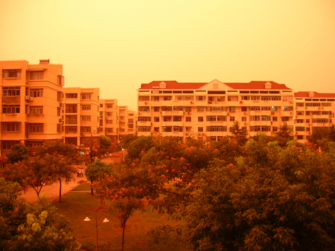 DSCN5582.jpg