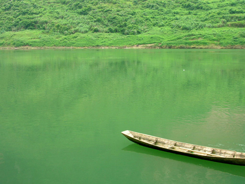 DSCN9582.jpg