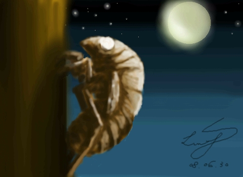 SHI,550,400,6196,5404,3200807/v2k-316-1214847254296.png
