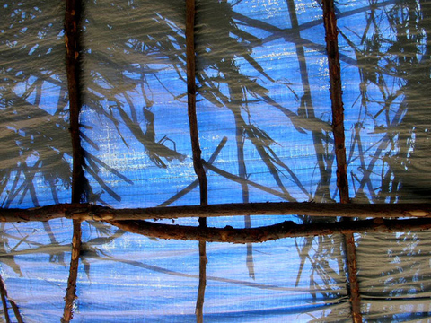 DSCN9761.jpg