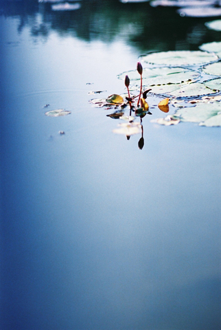 F008.jpg