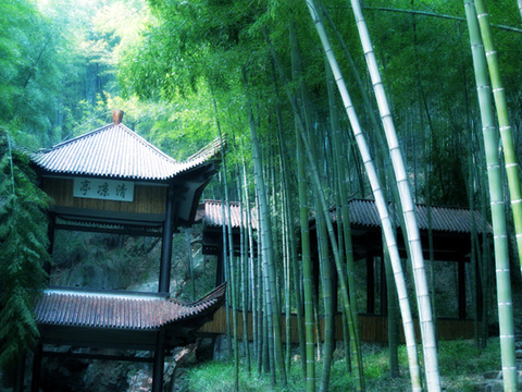 IMG_0866 ��贝.jpg