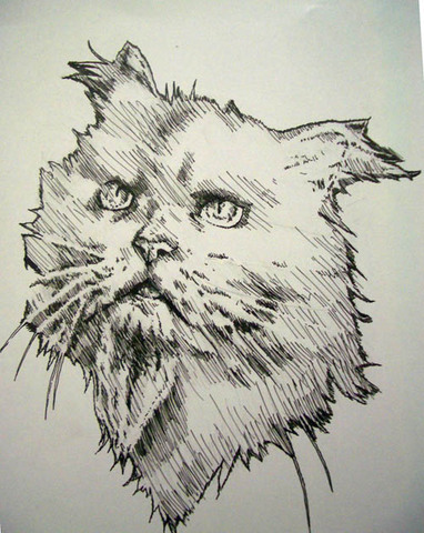 PEN01-1.jpg
