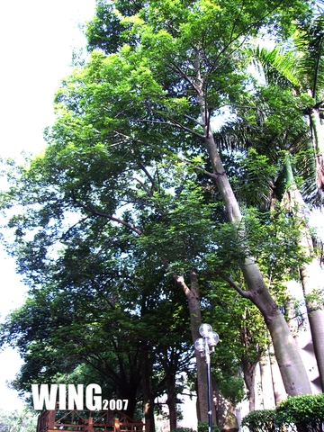 PICT0005����.png