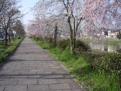 DSCN1255-1.jpg