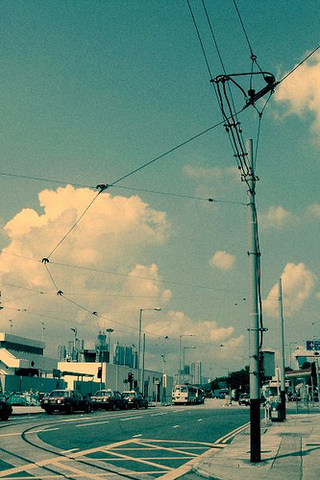 774320683_bf29da2161.jpg