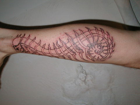 xtattoo-outline.jpg