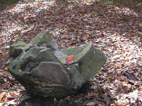 DSCN9826.JPG