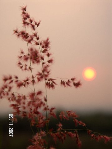 PICT0018-2.jpg