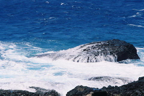 F1000022-1.jpg