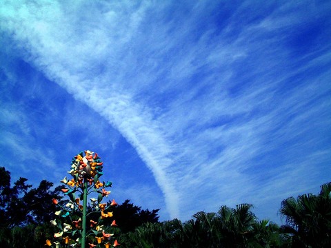 DSCF0016.JPG