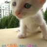 [��创�t�C]���֤k妈妈��记6