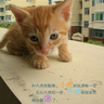 [��创�t�C]���֤k妈妈��记27