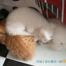 [��创�t�C]���֤k妈妈��记39
