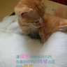 [��创�t�C]���֤k妈妈��记43