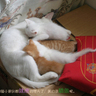 [��创�t�C]���֤k妈妈��记45