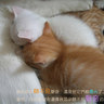 [��创�t�C]���֤k妈妈��记46