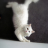 �窺�ҽk�� �n�H�˥�~