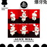ALICE-MISA������(�z����)