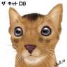 �m�j�Y�ߡn����襧��(Abyssinian)