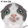 �m�j�Y�ߡnĬ�����P��(Scottish Fold)
