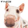 �m�j�Y���n���Y��(Bull Terrier)