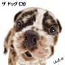 �m�j�Y���n���Y��(Bulldog)