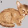 �괳�ߤ��G