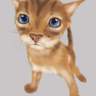 �괳�ߤ��T