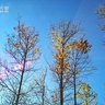 �ͬ���v���N�����Ƿ|