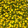 �K��06b