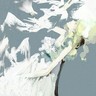 rainbirds