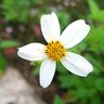�p��~Close up~