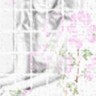���e���y�]�p�d��-2